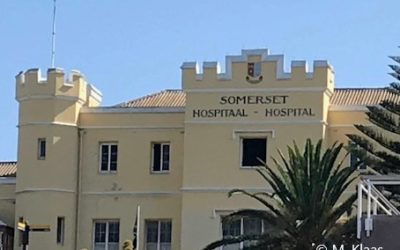 Medizintechnik Markt in Südafrika